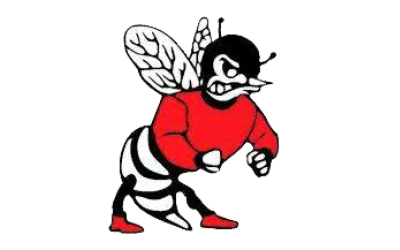 Lafayette Hornets