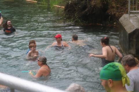 Dozens of folks came out to the Ichetucknee Springs State Park for the annual Iche Nippy Dip Day on Saturday. (MICHAEL PHILIPS/Lake City Reporter)