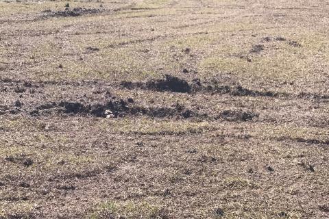 Tire tracks mark the spots where a group of rowdy teens did doughnuts at the county fairgrounds over the weekend. (COURTESY)