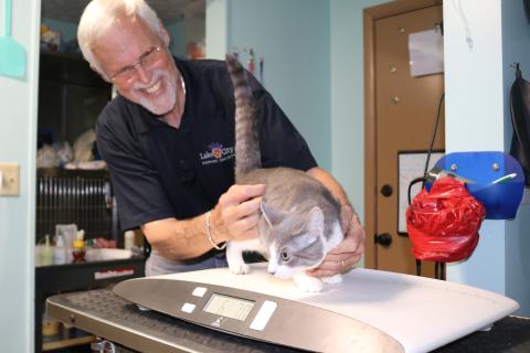 Thomas Barritt, Lake City Humane Society facility manager, weighs a cat that is scheduled to have surgery today. LCHS is in the midst of a push to curb the local feral cat and wild dog population through an aggressive spay/neuter program. (TONY BRITT/Lake City Reporter)