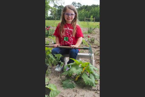 Josie Harlow, 4, rules over a special patch of her mother’s garden set aside just for her. Josie has been growing squashes and tomatoes, said her mother, IFAS horticulture agent Erin Harlow. (COURTESY)