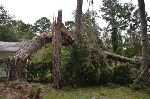 Hurricane Irma left its mark on Lake City in September 2017. (FILE)
