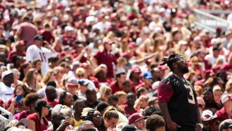 Florida State fans watch the Seminoles game against Boise State in August at Doak Campbell Stadium in Tallahassee. (TAMPA BAY TIMES/TNS)