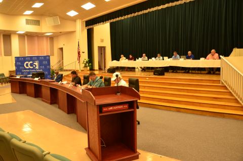 County charter board members hold the first of three hearings Wednesday. A proposal dealing with a controversial spending practice moved forward to another hearing, as did three other proposals. (CARL MCKINNEY/Lake City Reporter)