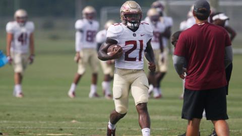 Khalan Laborn never made a five-star impact at Florida State. (TAMPA BAY TIMES/TNS)
