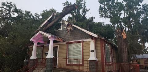 Part of a tree fell on the law office of Lloyd and Sandra Peterson on Baya Avenue after being struck by lightning during a thunderstorm Monday evening. (Courtesy LAKE CITY POLICE DEPARTMENT)