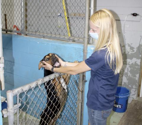 Ashley Gerondale, Lake City Columbia County Humane Society animal adoptions manager, plays with a smiling “Boomer” on Friday afternoon after a walk. The humane society will start construction on the James Montgomery Animal Wellness Center in the next few weeks. (TONY BRITT/Lake City Reporter)