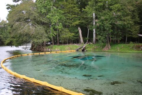 Rum Island Park is reopening Monday after being closed nearly a year for a $300,000 riverbank restoration project. (FILE)