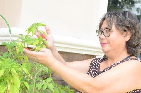 Yaping Morgan, a local entrepreneur, shows off chili peppers she has grown with her Smart Farm automated watering system that she said makes growing food nearly effortless. (CARL MCKINNEY/Lake City Reporter)