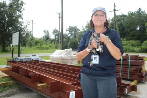 Robin Tobak Ward, the executive director of the Lake City-Columbia County Humane Society, holds a kitten in front of the material for the future James Montgomery Animal Wellness Center. Construction on the new building is expected to begin before the end of the month. (TONY BRITT/Lake City Reporter)