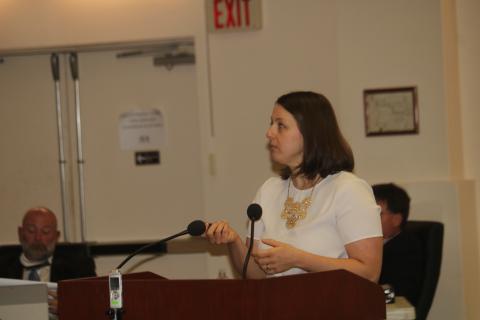 Jamie Bell, public engineer with Jones Edmunds and Associates, presents the preliminary engineering report and the first phase of the wastewater treatment facility to the County Commission on Thursday. (TONY BRITT/Lake City Reporter)
