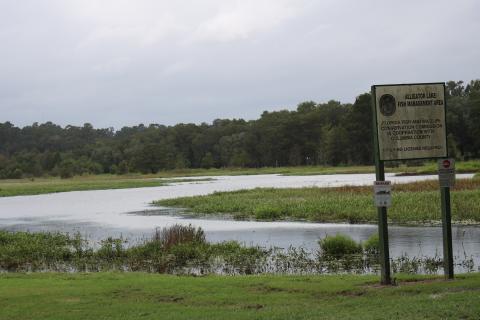 Alligator Lake Recreation Area may soon become city property as the council unanimously approved the first reading of an ordinance to annex the land into the city limits. (TONY BRITT/Lake City Reporter)