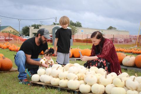 Brian Forte and his wife, Amanda, look through pumpkins at the Columbia FFA Pumpkin Patch with their children Kaiden (standing) and Railynn. (TONY BRITT/Lake City Reporter)