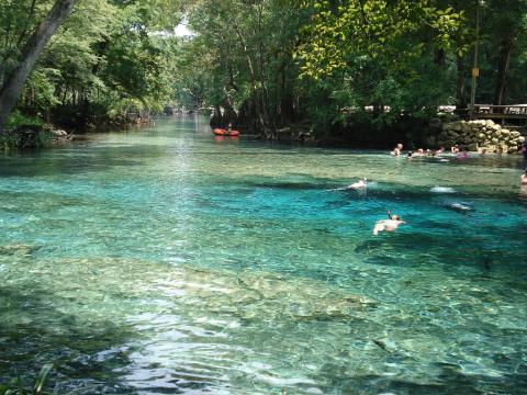 People enjoy a day in Ginnie Springs, which is also home to a Nestlé water-bottling plant, which is seeking a renewal of its permit to draw water from the springs. (FILE)