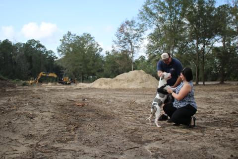 Jordan Regar, Lake City Humane Society Community Development manager, and Damen Modlinski, a humane society adoptions counselor, walk Misty, a Staffordshire Bull Terrier, on property that will serve as the humane society’s dog park. Misty, an 18-month-old dog, was found at the corner to two intersections tied to a post, is available to foster for possible adoption. (TONY BRITT/Lake City Reporter)