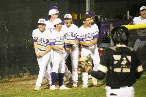 Columbia players celebrate in the dugout after Mason Gray’s go-ahead 2-RBI triple in the sixth inning against Buchholz on Tuesday night. (JORDAN KROEGER/Lake City Reporter)