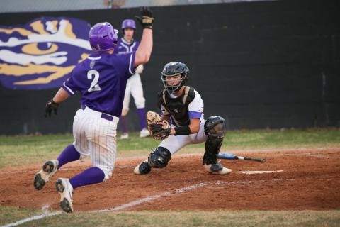 Columbia catcher Grant Bowers gathers a throw at home plate for a tag against Gainesville last season. (BRENT KUYKENDALL/Lake City Reporter)