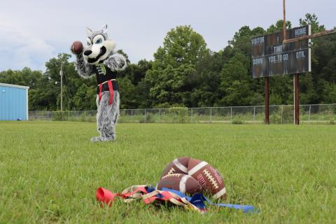 Florida Gateway College announced Tuesday that it is starting a flag football program beginning in the 2022-23 academic year. (COURTESY OF FGC)