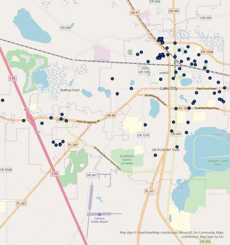 A map produced by the Lake City Police Department shows the approximate locations of discharged firearms since the beginning of the year through Thursday. 94 incidents have been reported since Jan. 1, 2021.