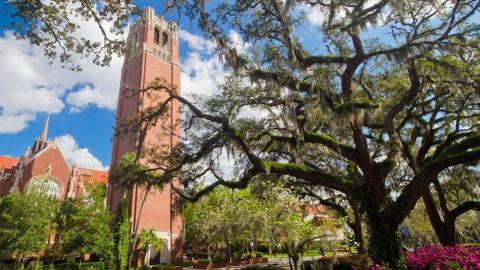 The University of Florida was named to the top-5 list on the latest U.S. News and World Report release. (COURTESY)