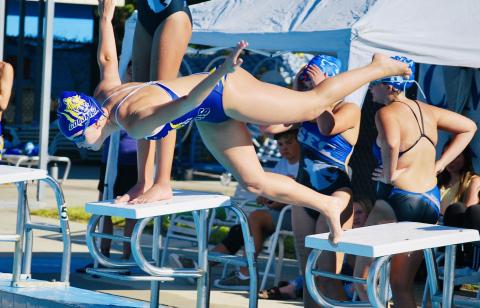 Columbia swimmer Abby Schuler leaps off of the diving board as she competes in the 100 freestyle during Thursday’s meet against Saint Francis Catholic. (COURTESY)
