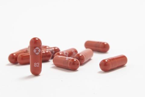 Merck’s new antiviral covid-19 medication, which U.S. health officials said Friday is effective but raises safety issues for pregnant women. (MERCK & CO.)