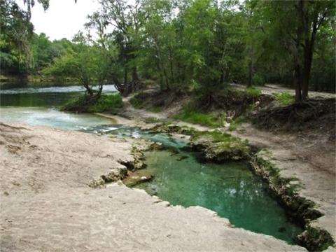 Telford Spring, shown here, will be sold to the Suwannee River Water Management District. (COURTESY)