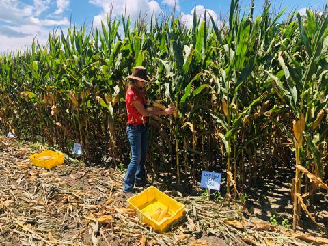 De Broughton and farmers from around north Florida recently formed a pact to use about 30 pounds of fertilizer less per acre of crops at an impromptu conference. (COURTESY)