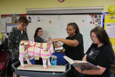 Rhys Evans (clockwise from left), Kenzie Dungan, Cayden Hall and Lena Deese, members of the Columbia High School FFA veterinary skills team, work on labeling the body parts of a cow as they prepare for today’s state competition. (TONY BRITT/Lake City Reporter)