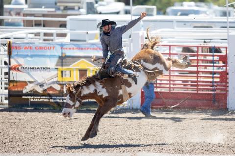 Riding high in the saddle, a cowboy masters his form during a saddle bronc ride at the Florida Gateway Pro Rodeo Sunday afternoon. (RAY CARPENTER/Special to the Reporter)