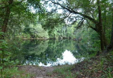 Gov. Ron DeSantis and his Cabinet plan on purchasing 160 acres in River Rise Preserve State Park. (COURTESY)