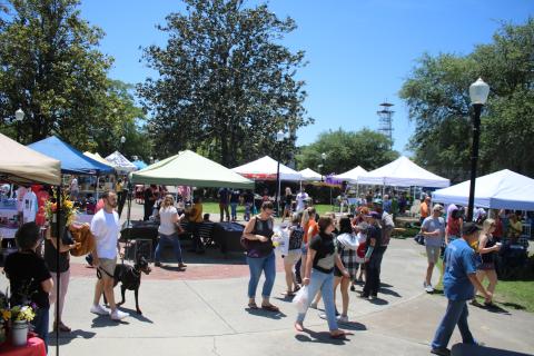 The second City of Lake City Spring Market will come to Olustee Park on Saturday from 10 a.m.-5 p.m. and feature more than 130 vendors. (FILE)