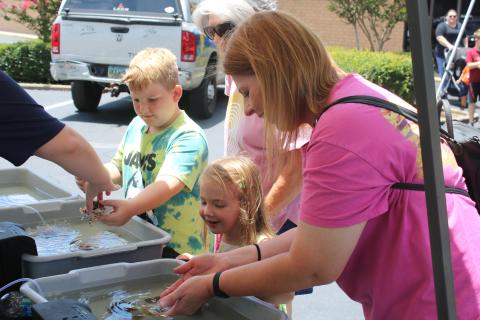 Julianne Bleakley (center) smiles as Jennifer Bleakley shows her a baby horseshoe crab. (TONY BRITT/Lake City Reporter)
