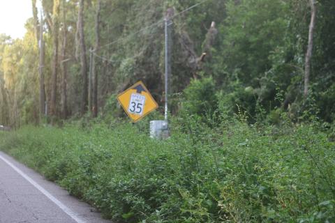 Columbia County officials will hold a workshop the first week of August to discuss options for the future of mowing services on public roadways, such as here on Country Club Road. (TONY BRITT/Lake City Reporter)