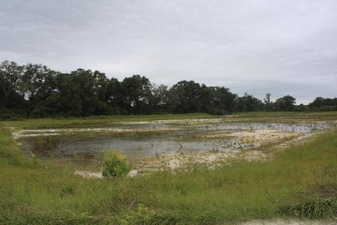 Columbia County officials are pumping water out of retention ponds near Old Country Club Road to an 11.5-acre pond in an attempt to alleviate flooding issues. (TONY BRITT/Lake City Reporter)