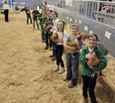 4-H Clover Buds (5 years of age) thru Senior 4-H members waiting for their chickens to be judged at the Quad Conty Chick-Chain Show in Madison. (COURTESY LAFAYETTE COUNTY 4-H)