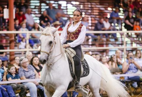 The Gala of the Royal Horses will show off various breeds of horses performing maneuvers once used on battlefields at the Oaks Equestrian Center on Saturday. (COURTESY)