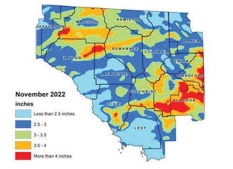 North Florida received more rain than normal in November according to the Suwannee River Water Management District. (COURTESY)
