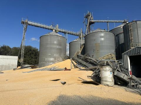 A grain bin at the Pilgrim's Feed Mill in Live Oak collapsed Thursday afternoon, spilling corn. Nobody was injured. (COURTESY SUWANNEE COUNTY FIRE RESCUE)
