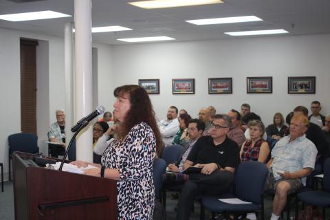 Resident Liz Freyre had a list of seven concerns with a planned 325-home development along Bascom Norris Drive. (TONY BRITT/Lake City Reporter)