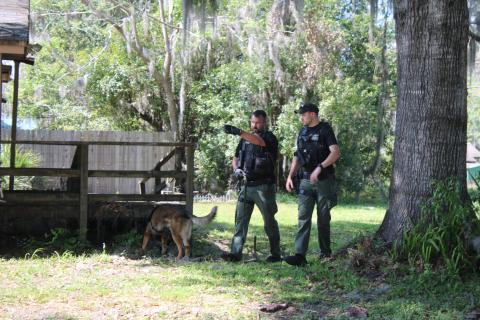 Members of the Columbia County Sheriff’s Office K-9 team search a residence near SE McCray Avenue and SE Paxton Place on Monday afternoon as they were looking for a shooting suspect. (TONY BRITT/Lake City Reporter)