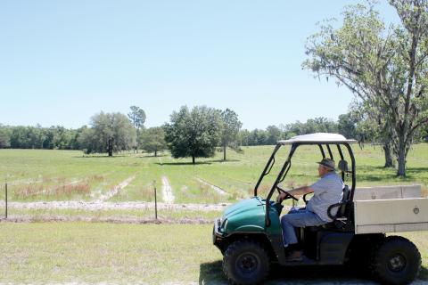 Mike Herlong looks out over his property in Fort White, which could become a flood zone according to the preliminary flood risk maps from FEMA. Herlong said the property, which been in his family for 100-plus years, never floods. (TONY BRITT/Lake City Reporter)