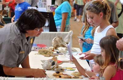 The Wild Amelia Nature Festival returns to Fernandina Beach on May 19-21. (COURTESY)