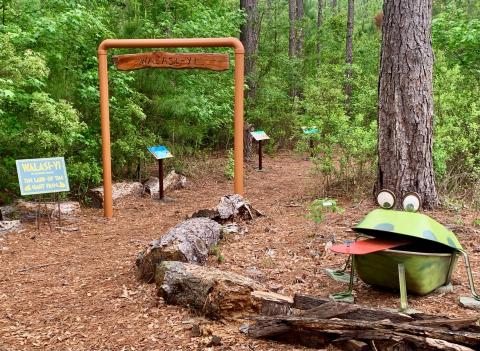The entrance to the story walk at Hearthstone Gardens includes a frog statue and a sign that reads, ‘Walasi-yi,’ which means ‘Land of the great frog.’ The story walk includes stories about frogs. (COURTESY)