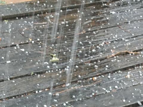 A thunderstorm Thursday afternoon brought pea- to nickel-sized hail to parts of Lake City. (TONY BRITT/Lake City Reporter)