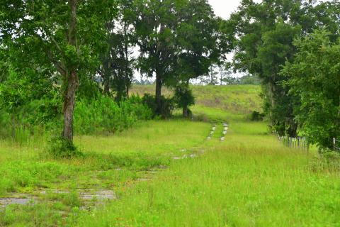 The Suwannee County Commission has decided to search for a new location for its next fire station instead of the property the county purchased in 2019 along U.S. Highway 129 north of Interstate 10. (ROB WOLFE/Special to the Reporter)