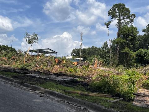 Trees were cleared behind the Jared Allison Aquatic Complex this week to make way for the installation of solar panels to heat the pool. (JAMIE WACHTER/Lake City Reporter)