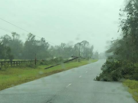 Power lines and trees have caused major outages across North Florida. (COURTESY SUWANNEE VALLEY ELECTRIC)
