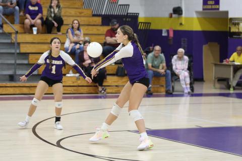 Columbia hitter Sinei Wood sets up a shot for a teammate against Oak Hall on Tuesday. (BRENT KUYKENDALL/Lake City Reporter)