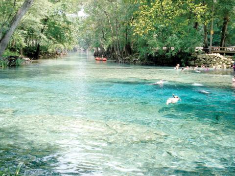 An administrative law judge ruled Tuesday that Seven Springs Water Co. should be allowed to pull water from near Ginnie Springs in Gilchrist County. (FILE)